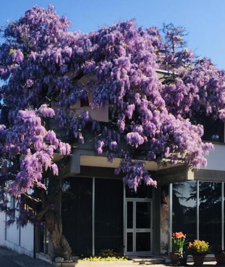 Garden Of Venice Pegolotte エクステリア 写真